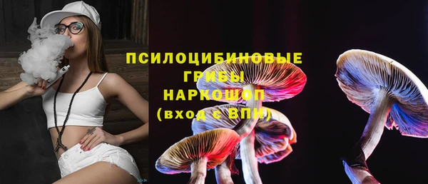 apvp Магас