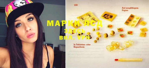 apvp Магас