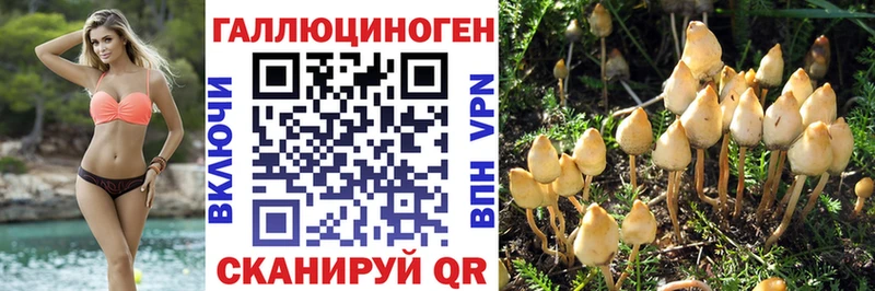 Псилоцибиновые грибы Cubensis  Княгинино 
